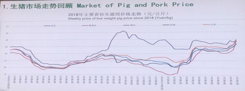 Market price of pig and pork - 2018