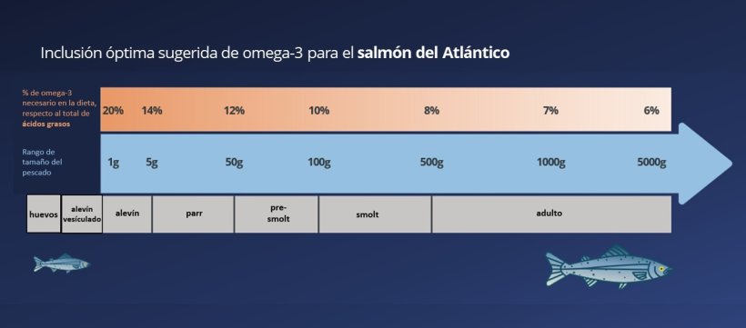 Inclusión óptima sugerida de omega-3 para el salmón del Atlántico