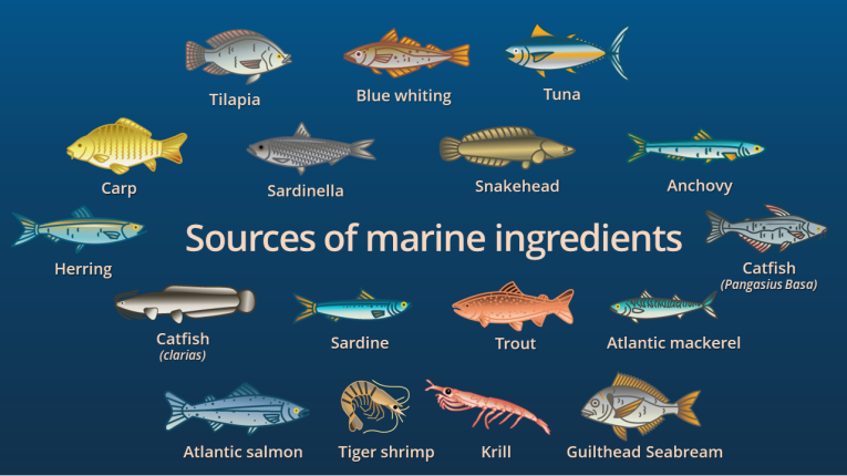 Marine ingredient sources 