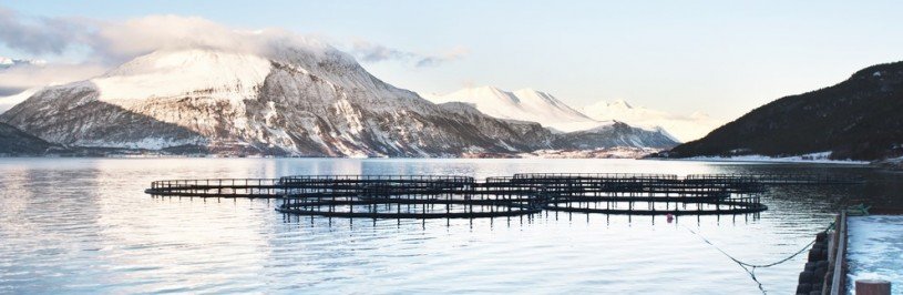 Fish Cages Norway