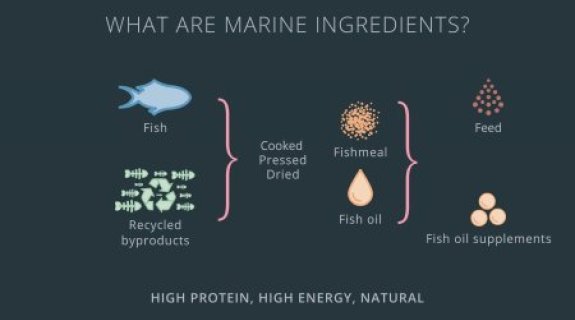 El papel de los ingredientes marinos