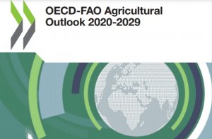 OECD FAO